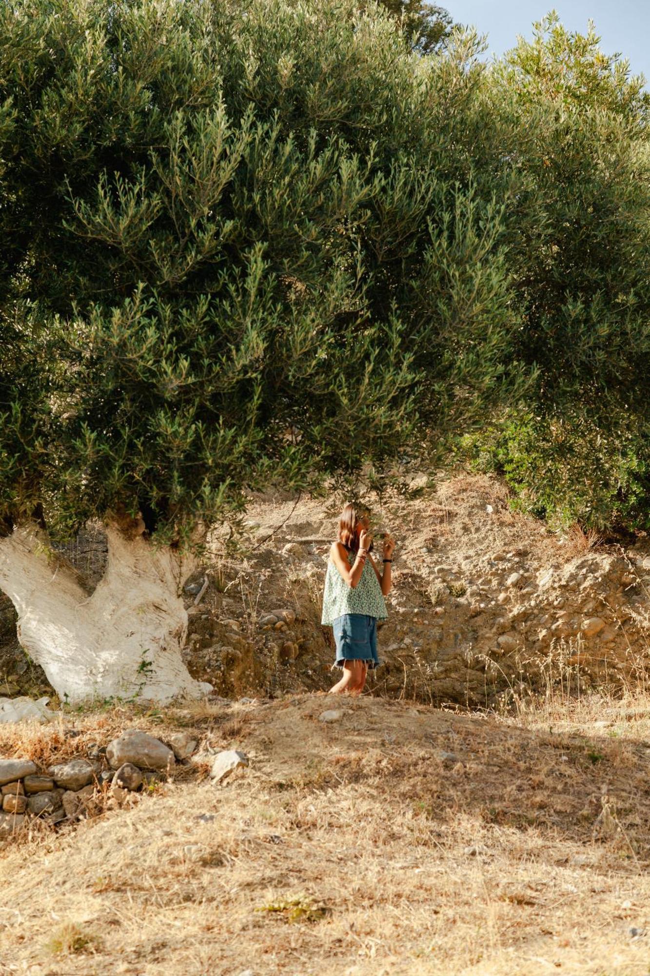 Ariadne Suites Plakias Buitenkant foto